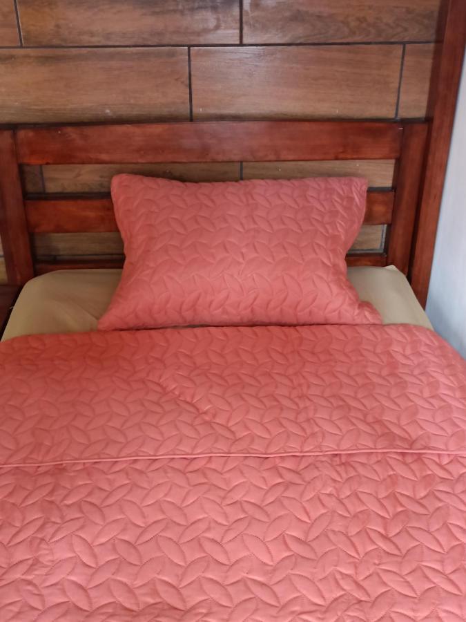 Budget Hostel Guatemala المظهر الخارجي الصورة